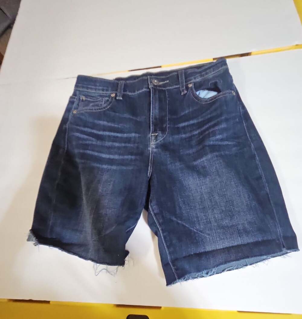Lucky Brand Denim Shorts Size 4/27 Blue Distressed Raw Hem